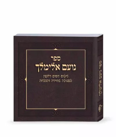 No’am Elimelech Faux leather Brown