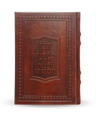 Tehillim Sapir model Sky Cover