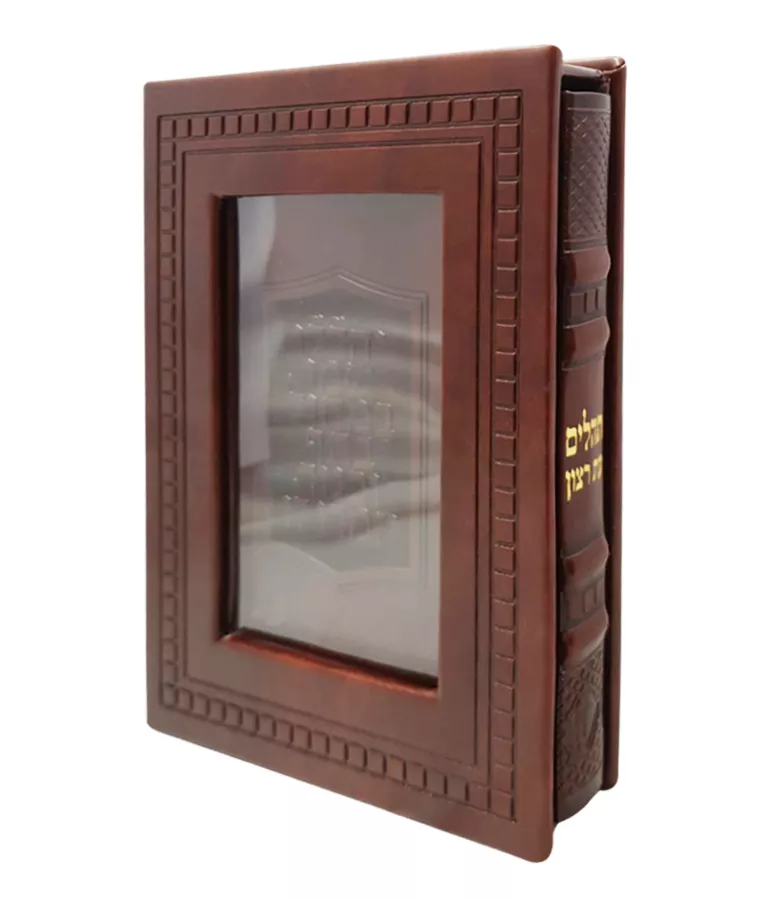 Tehillim Sapir model Sky Cover - Image 2