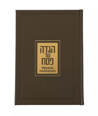 Luxurious English/Hebrew Haggadah