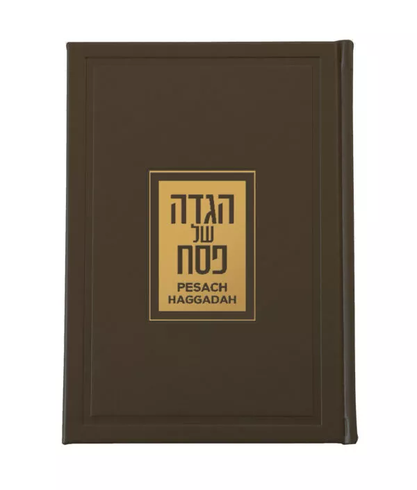 Luxurious English/Hebrew Haggadah - Image 3