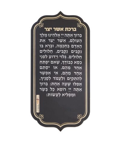 Asher Yotzar magnet