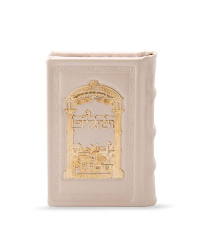 Small Leather Tehillim with gold plague